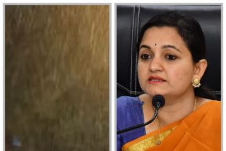 ನಿಲ್ಲದ ಮಳೆ : ಧಾರವಾಡ ಜಿಲ್ಲೆಯಲ್ಲಿ ನಾಳೆಯೂ ಶಾಲೆಗಳಿಗೆ ರಜೆ