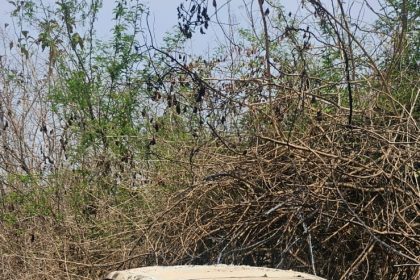 ಧಾರವಾಡ ಬಳಿ ಕಾರಿನಲ್ಲಿಯೇ ವ್ಯಕ್ತಿ ಸುಟ್ಟು ಹಾಕಿದ ದುರುಳರು!